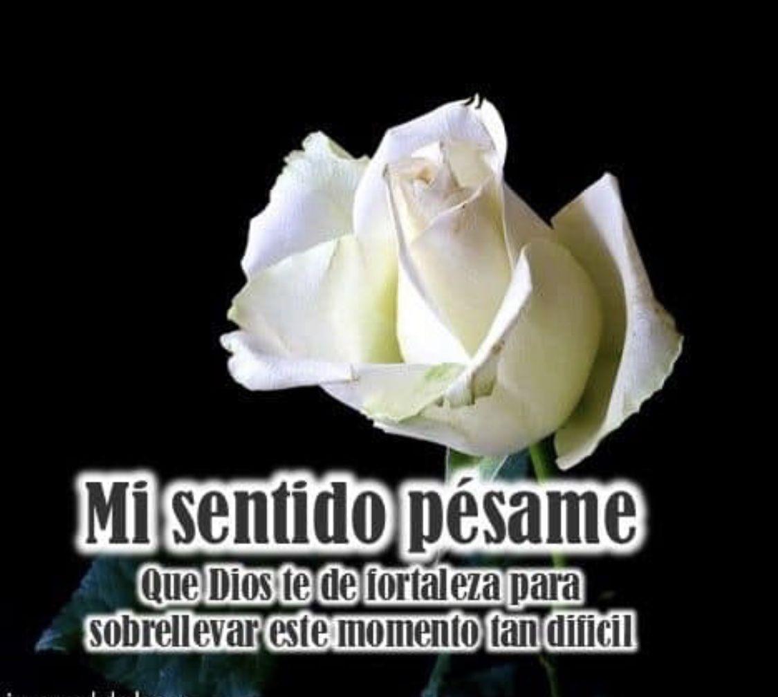 vierne5.com
