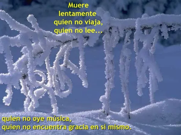 vierne5.com